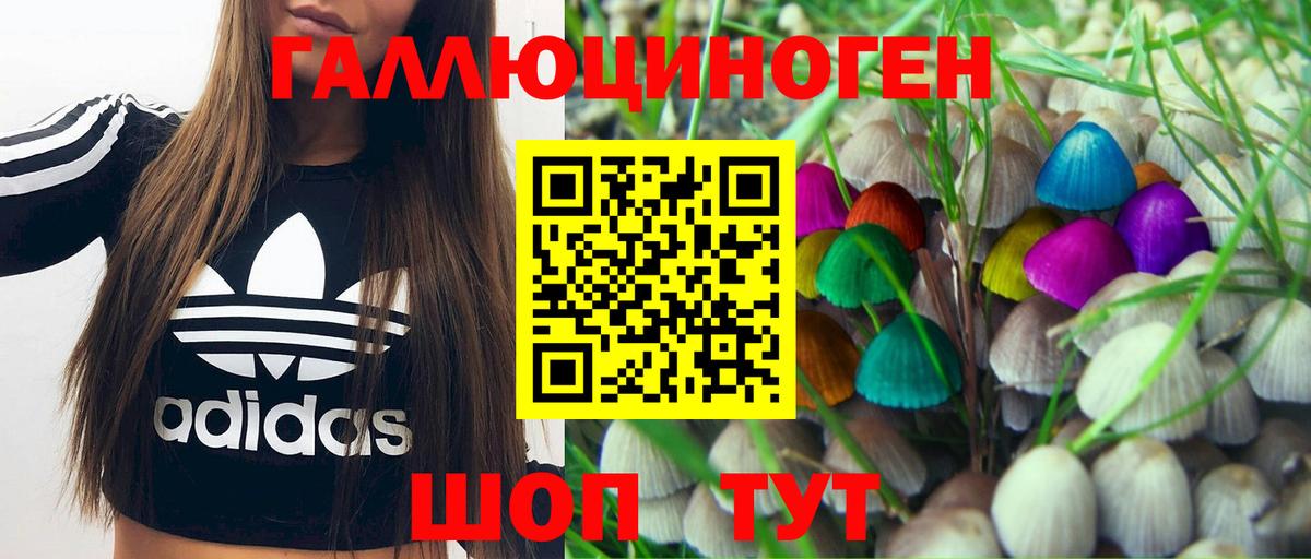 Галлюциногенные грибы GOLDEN TEACHER  Псилоцибиновые грибы GOLDEN TEACHER  Вичуга  Вход с VPN 